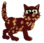 Twincy's Rockslide at Wild Road — “Rockslide”