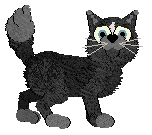 Shortbread's Look At This at Wild Road — “Photograph”