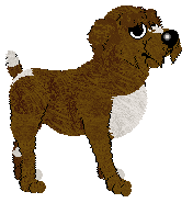 Profile image of Sungraze Camping Cans @ Mockingbird