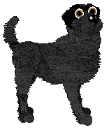 Amenity's Dancing On My Toes — “Ballet”