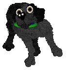 Amenity's Dancing On My Toes — “Ballet”