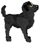 Amenity's Dancing On My Toes — “Ballet”