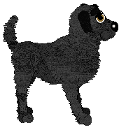 Amenity's Dancing On My Toes — “Ballet”