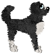 SGP/King's Time Will Only Tell — “Apodaca”