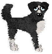 SGP/King's Time Will Only Tell — “Apodaca”