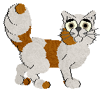 Amenity/King's Burning Through the Night — “Foxfire”