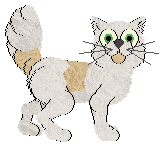 Profile image of Kizmet/King's Winged Messenger