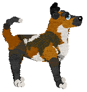 Audaxity's Collie For Your Sausage — “Gift”