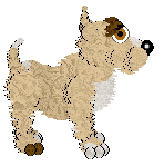 Bec/Mockingbird's Happy Feet — “Rio”