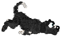 King's Prancing in The Moonlight at Cirrutopia — “Moonlight”