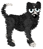 King's Prancing in The Moonlight at Cirrutopia — “Moonlight”