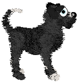 King's Prancing in The Moonlight at Cirrutopia — “Moonlight”