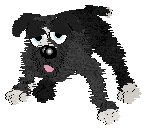 King's Prancing in The Moonlight at Cirrutopia — “Moonlight”