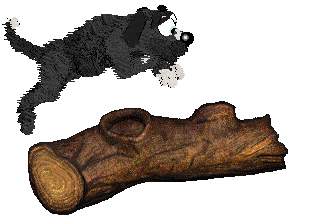 King's Prancing in The Moonlight at Cirrutopia — “Moonlight”