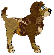 Billywix/FDL's La Flor de Azahar — “Valencia”