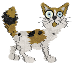 Hk's Eyes Tell Lies — “Believe”