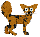 Sour Cheese Spots — “Darn”