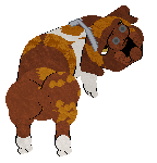 Jovial's Flying High — “Snout”