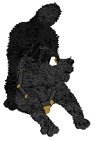 Sour Retrograde Season — “New Moon”