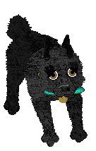 Sour Retrograde Season — “New Moon”