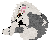 MB's The Book Of Random Tables at ZCP — “Ispnyrix”