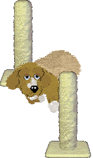 Amphigory/King's Fruit of the Vine at Witz World — “Passionflower”