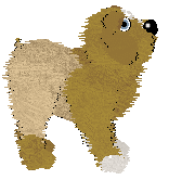 Amphigory/King's Fruit of the Vine at Witz World — “Passionflower”