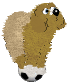 Amphigory/King's Fruit of the Vine at Witz World — “Passionflower”