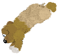 Amphigory/King's Fruit of the Vine at Witz World — “Passionflower”