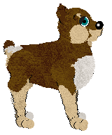 NSP's Island of Atlas @ Mockingbird — “Atlantis”