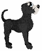 Knight's Burning It Down — “Pollus”