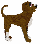 Amenity's Excellent Endeavor — “Eli”