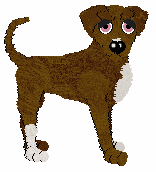 Amenity's Excellent Endeavor — “Eli”