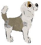 Tanglewood's What A Fitting Name at ZCP — “Bestie”