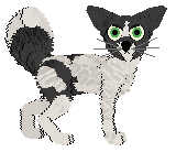 Profile image of SGP/King's Blessed with Bad Eyes