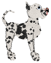 Witz's Garden Festival — “Wimbly”