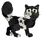 Profile image of Mazzew/King's Reclaim the Name