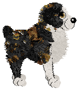 Insanity/King's How to Fight Loneliness — “Roo”