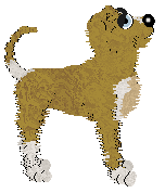 Amenity/King's Not Silver — “Sunfish”