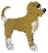 Amenity/King's Not Silver — “Sunfish”