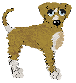 Amenity/King's Not Silver — “Sunfish”