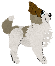 Sungraze's Wizarding Dreams at ZCP — “Charm”