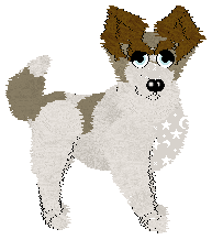 Sungraze's Wizarding Dreams at ZCP — “Charm”