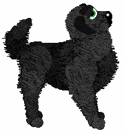 HK's Hic sunt leones — “Nero”