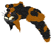 All That Sand — “Spice”