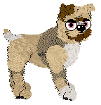 Sungraze/Mockingbird's Butterblossom — “Butterblossom”