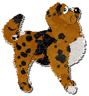 Profile image of Perfume Cymbal Rush