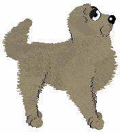 Profile image of HK's Where You Find Light