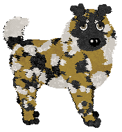 Wild Road Singer-Songwriter @ Mockingbird — “Ian”