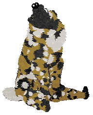 Wild Road Singer-Songwriter @ Mockingbird — “Ian”